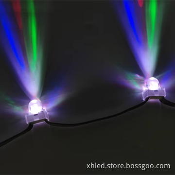 Intelligent Color LED Advertising Light String with Anchor Point